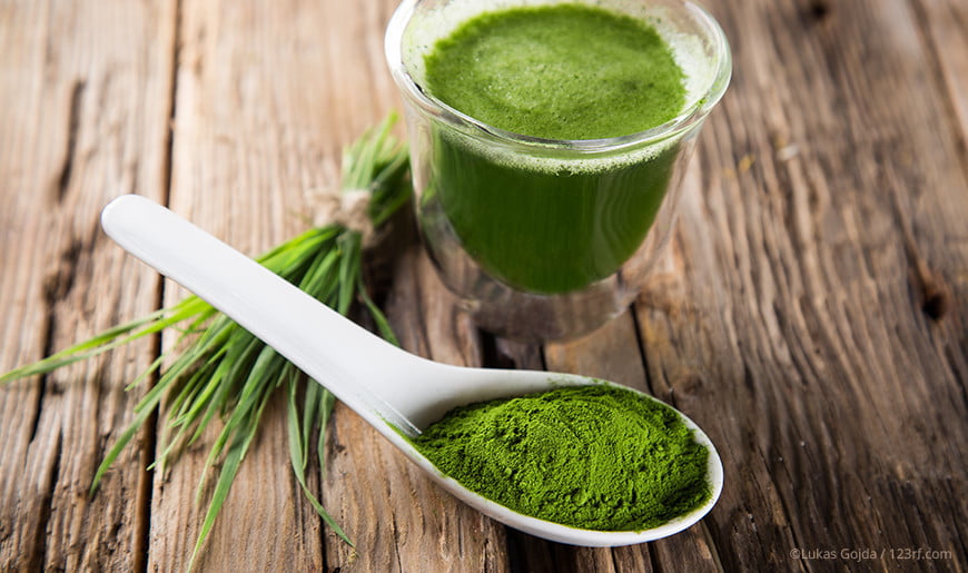 Gerstengrassaft Pulver auf Löffel und als Shake angerührt