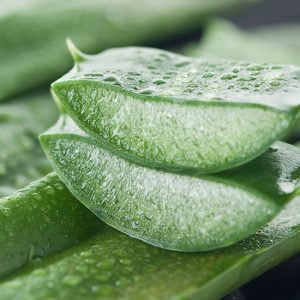 Aloe Vera Blätter Aufgeschnittene Aloe Vera Stücke