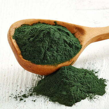 Chlorella Chlorella