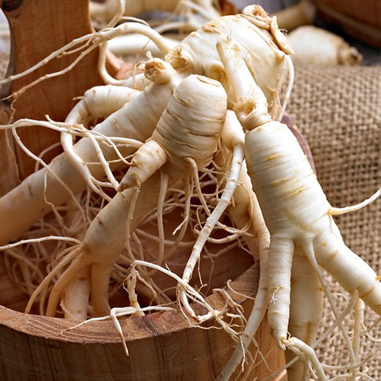 Ginseng Ginseng