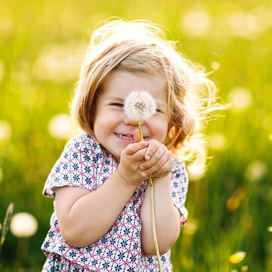 Der Löwenzahn Mädchen mit Pusteblume