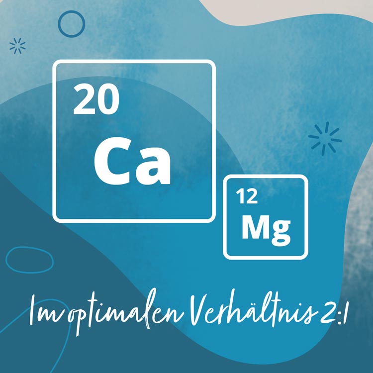 Calcium und Magnesium im optimalen Verhältnis von 2:1 Calcium und Magnesium im optimalen Verhältnis von 2:1