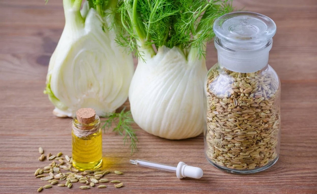 Fenchel, Fenchelsamen für den Darm