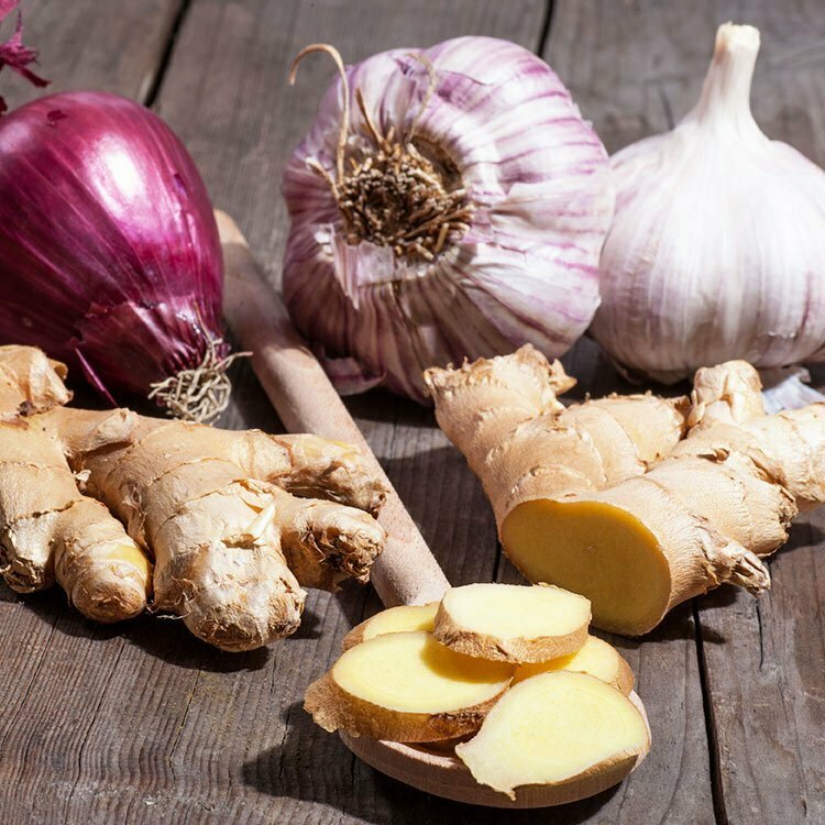 Zwiebeln, Knoblauch und Ingwer - feste Bestandteile von Fire Cider Ingwer, Zwiebeln und Knoblauch