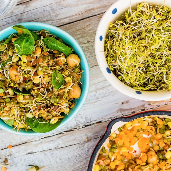 Sprossen werten jede Mahlzeit auf Sprossen auf bunten Bowls