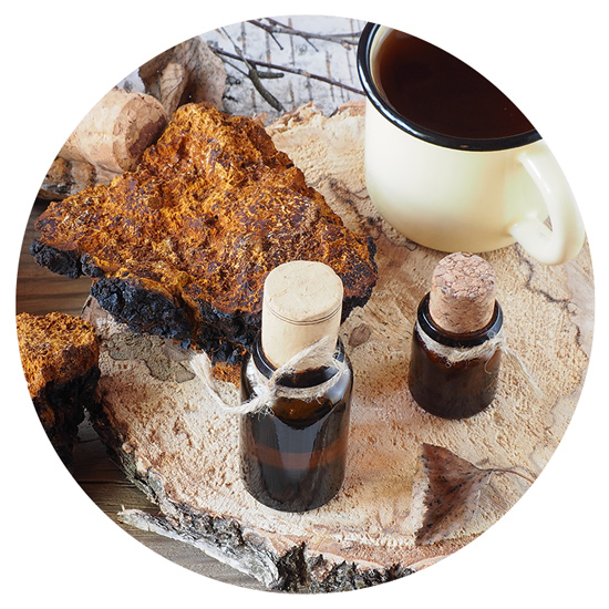 Chaga-Extrakt und Tee