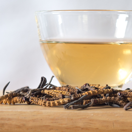 Cordyceps-Pilze neben einer Tasse Tee