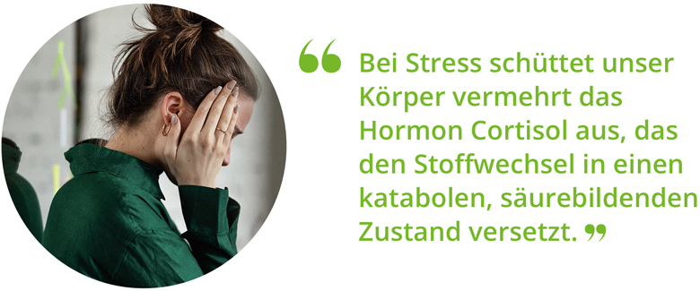 02_Stress_2