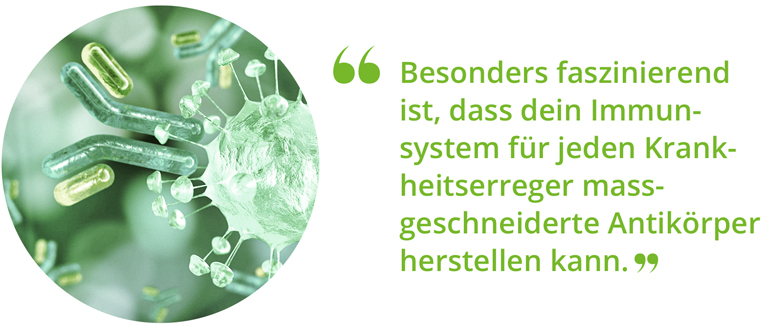 07_Antikoerper