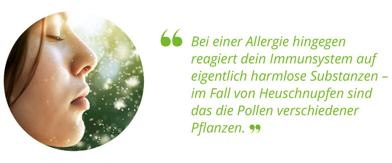 02_Pollenallergie_Allergie_im_Koerper