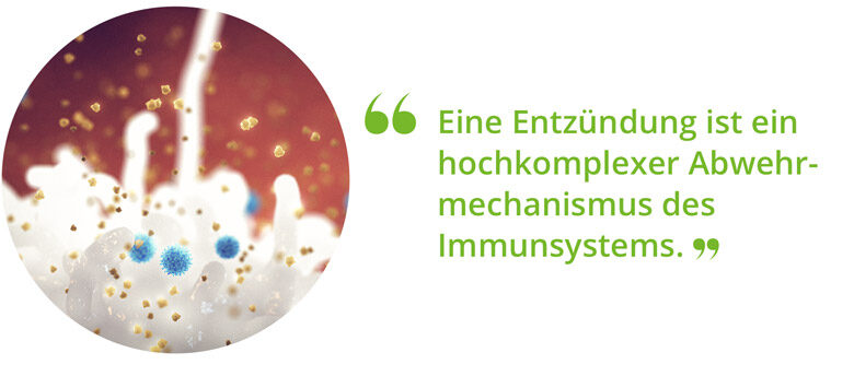 02_Was-sind-Entzündungen