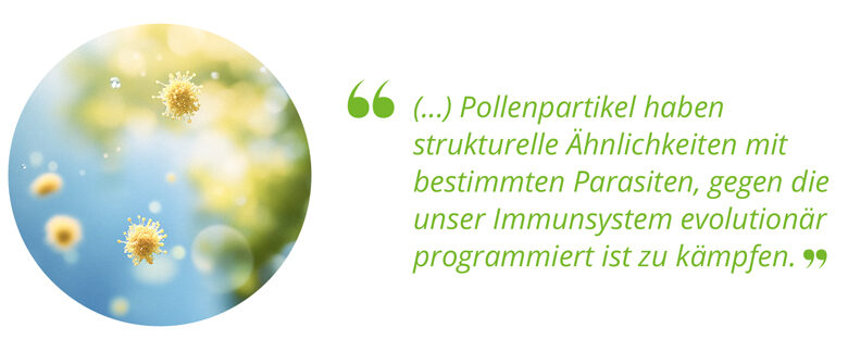03_Pollenallergie_Pollenpartikel