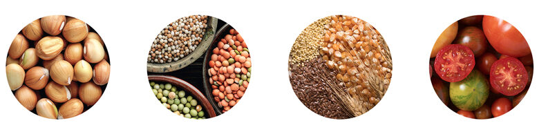 08_Pollenallergie_Pflanze2