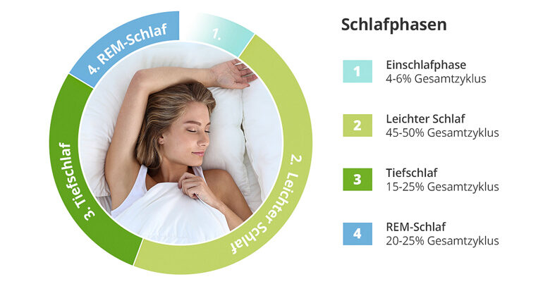 Darstellung der 4 Schlafphasen: 1. Einschlafphase, 2- Lichter Schlaf, 3. Tiefschlaf, 4. REM-Schlaf
